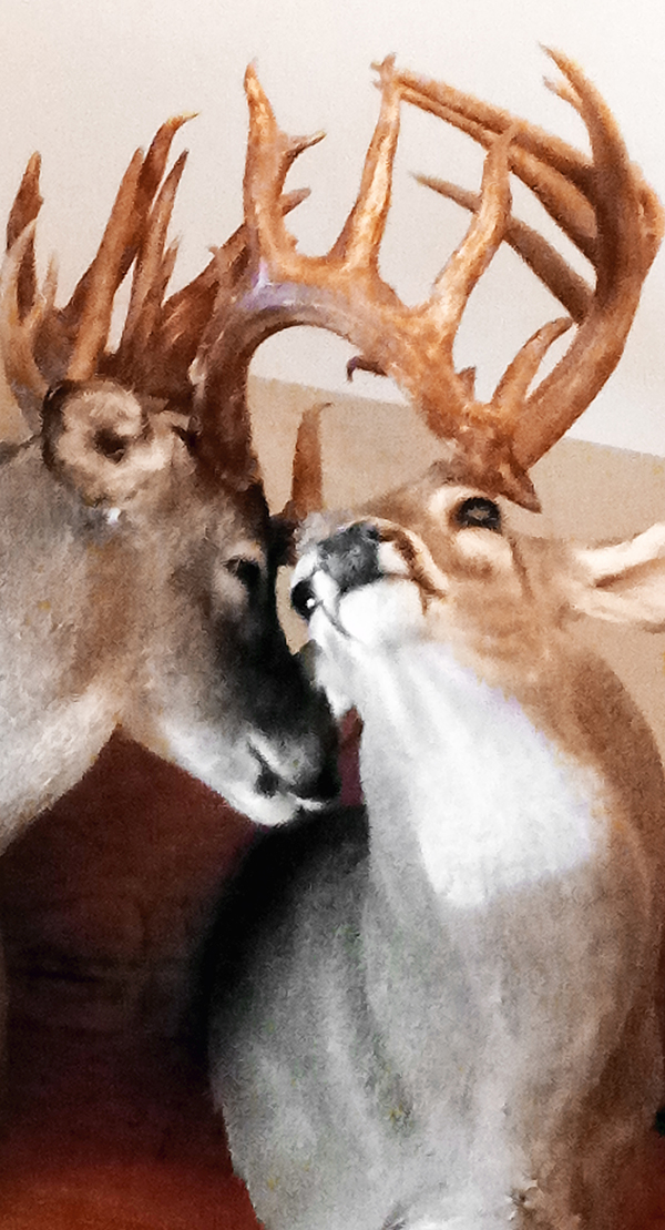 East Foundation deer